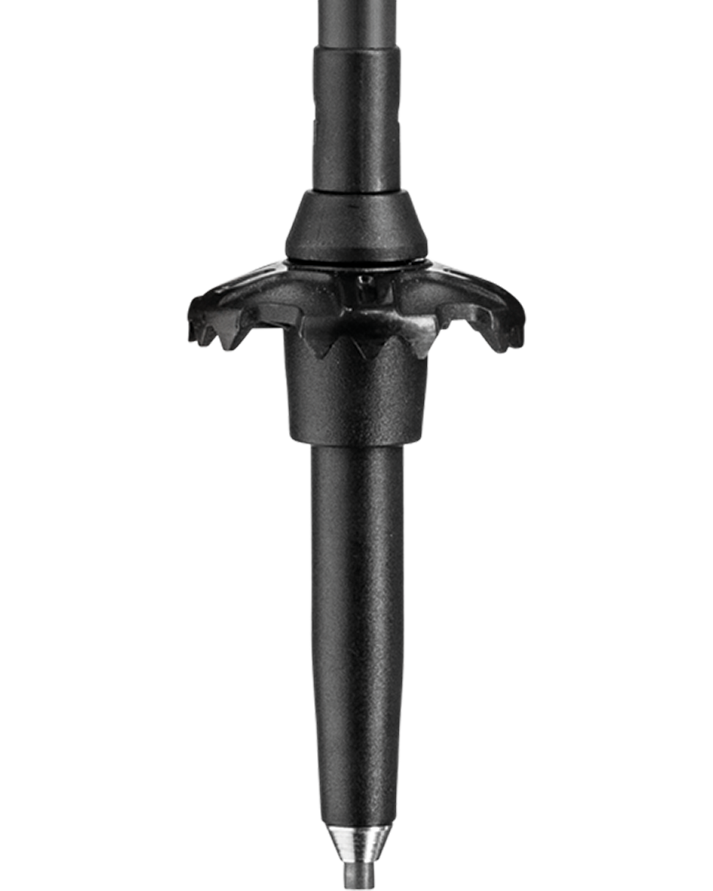 LEKI Black Series Carbon