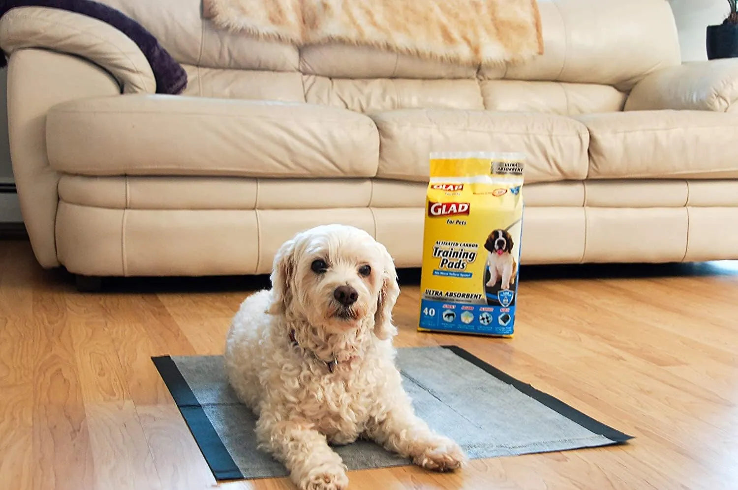 Glad for Pets Black Charcoal Puppy Pads 23" x 23" | Puppy Potty Training Pads That ABSORB & NEUTRALIZE Urine Instantly | New & Improved Quality Puppy Pee Pads, 100 count