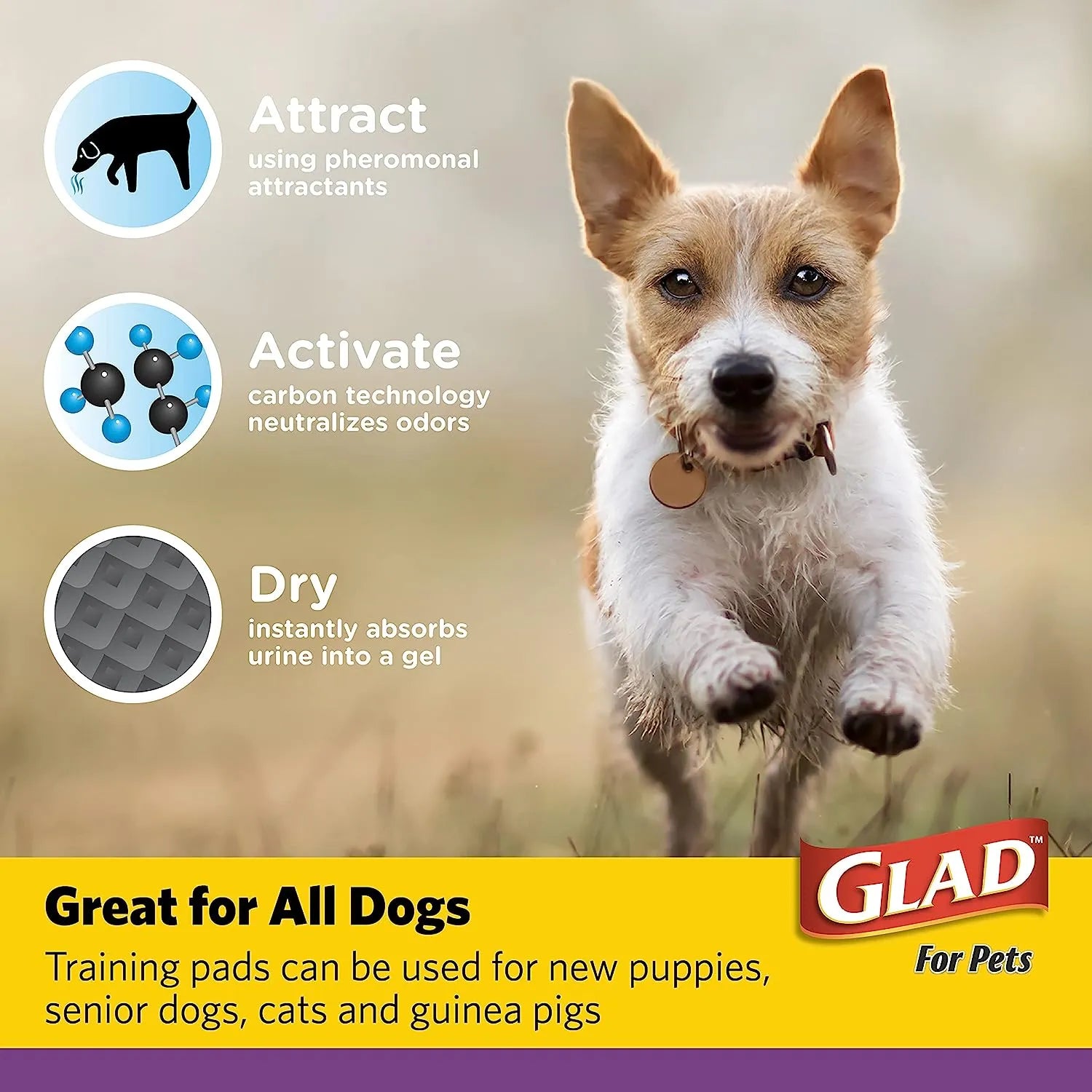 Glad for Pets Black Charcoal Puppy Pads 23" x 23" | Puppy Potty Training Pads That ABSORB & NEUTRALIZE Urine Instantly | New & Improved Quality Puppy Pee Pads, 100 count