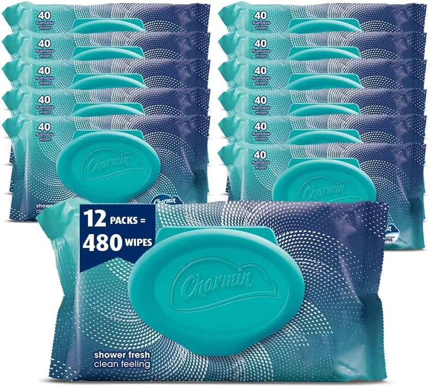Charmin Flushable Wipes, 12 packs, 40 Flushable Wipes per Pack