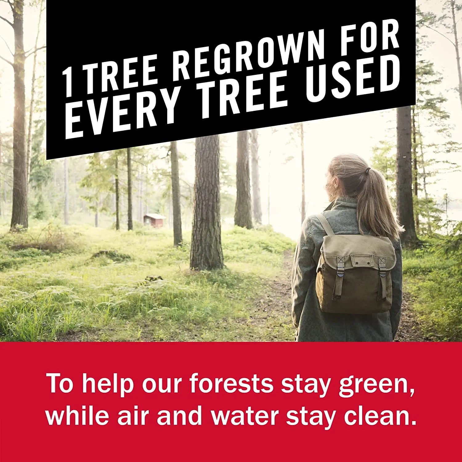 Paper Towels, 6 Double Rolls = 12 Regular Rolls