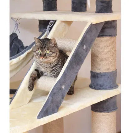 ❤️The Best Gift For Your Cats