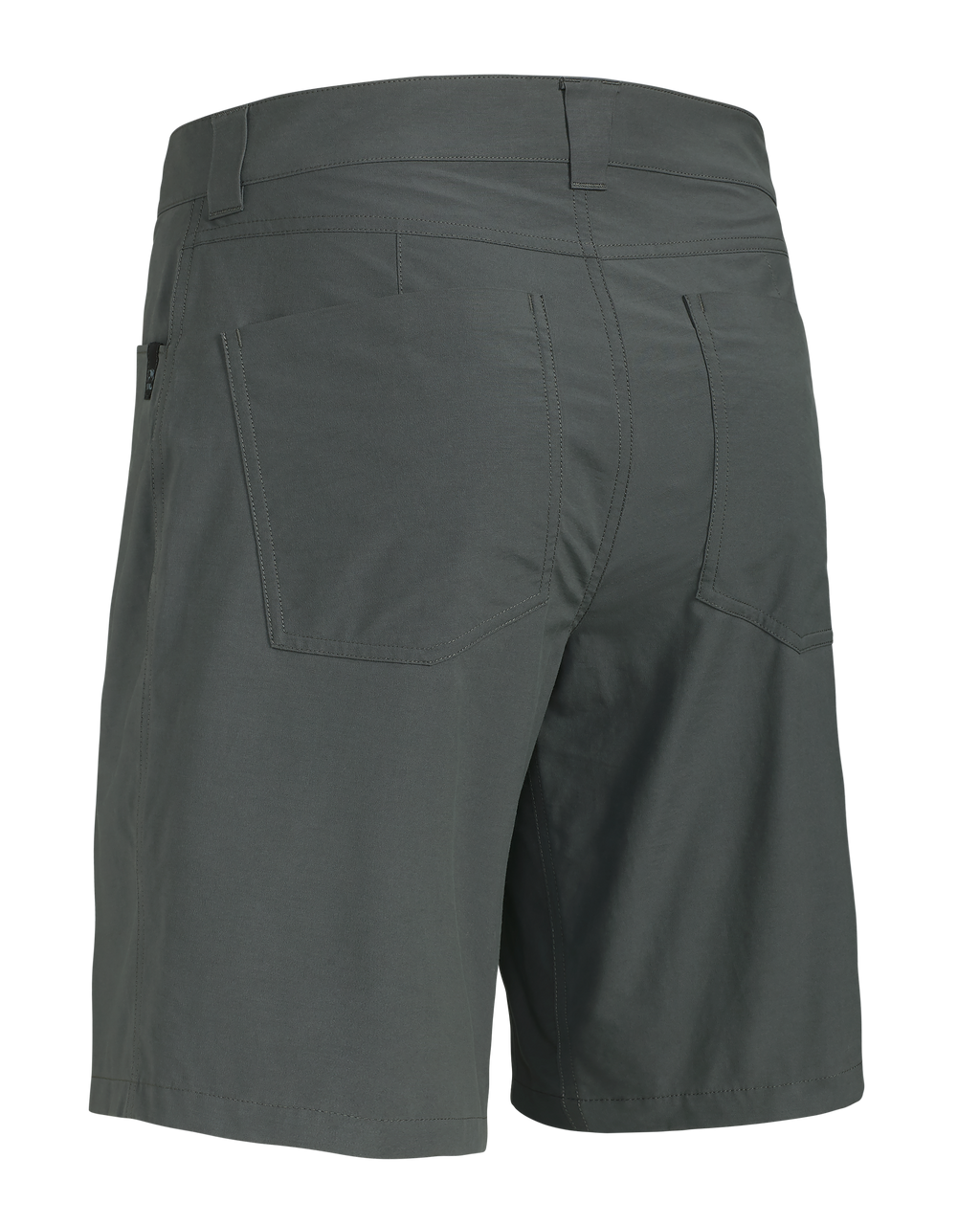 Bridger 10″ Short