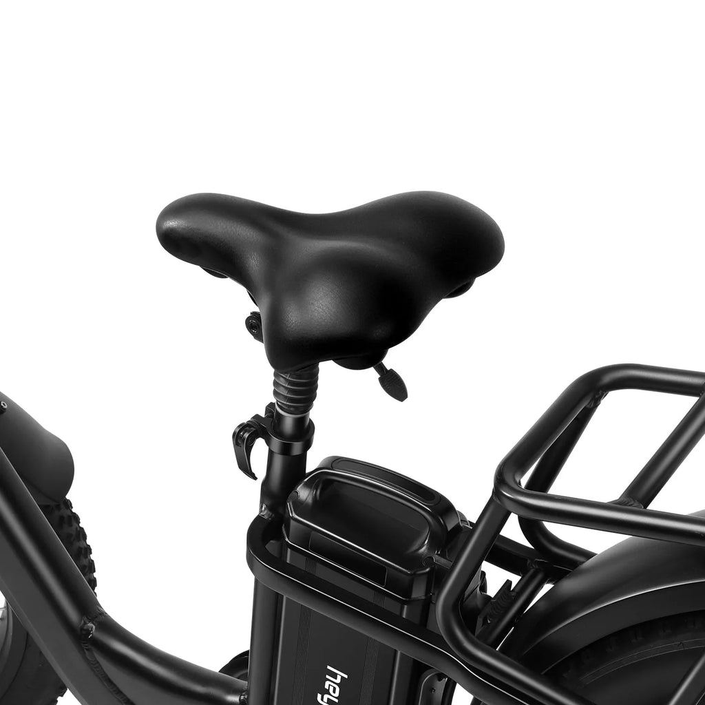 Clearance Sale Electric bike with storage box with 48V / 15Ah lithium battery